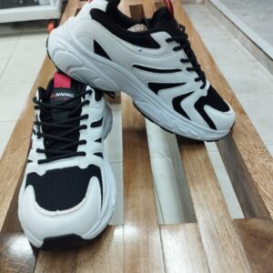 whatsapp image 2026 01 13 at 4.46.03 pm